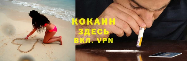 амф Губаха