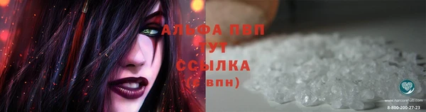 спиды Саяногорск