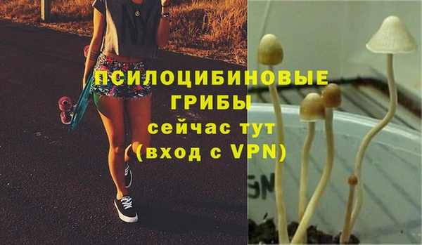 ALPHA PVP Абинск